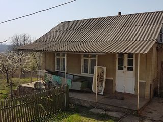 Casa cu sarai ! + teren arabil anexa cu vita de vie! foto 3