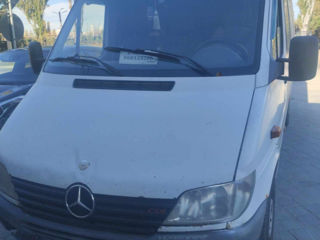 Mercedes Sprinter 313 foto 3