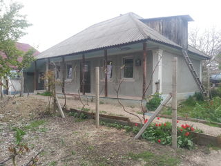 Продам дом в Бачой, расположен в центре,первый дом 80 м/кв, в доме сделан ремонт белый вариант (оста foto 4