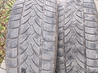 205/55R16 = 400Lei