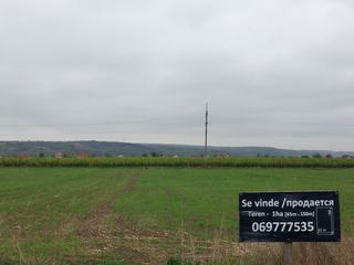 Teren Prima Linie - 80 ari pe traseul R1 Chisinau-Ungheni, Cojusna, Straseni //Se vinde foto 1