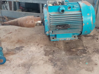 Motor cu morcov