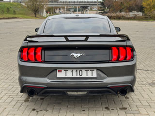 Ford Mustang foto 6