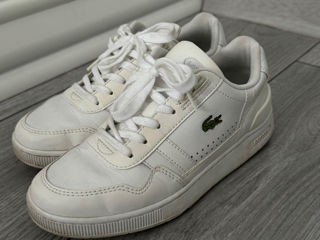 Ghete Lacoste  foto 0