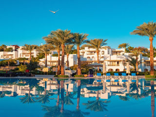 Egypt! Novotel Beach 5*! Din 01.09! foto 8