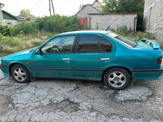 Nissan Primera foto 3