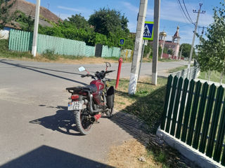 Alpha Moto Alpha foto 5