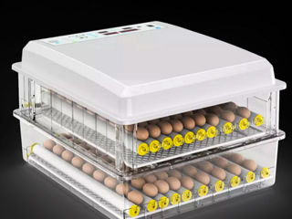 Incubator pentru oua Demetra DM-120 / Livrare gratuita / Achitarea in 4 Rate foto 5
