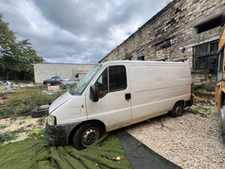 Fiat Ducato foto 3