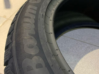 235/55R19 Polaris 6 foto 6