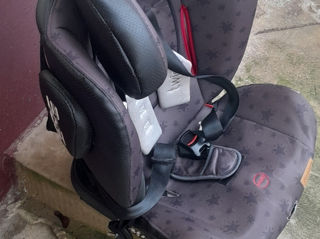 Scaun auto Chipolino cu isofix foto 2