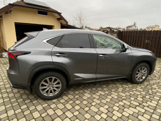 Lexus NX Series foto 6