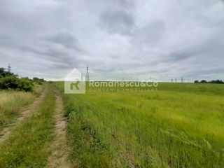 Vânzare teren agricol de 346 ari, în Ghidighici, str. Viilor. foto 2