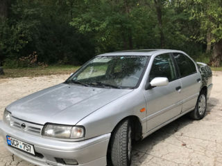 Nissan Primera foto 2