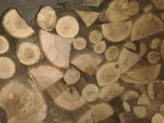 lemne de foc tari foto 1