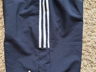 Adidas new