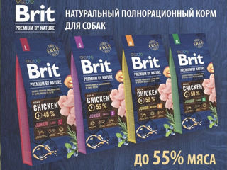 Корм для собак Brit! С доставкой! фото 1