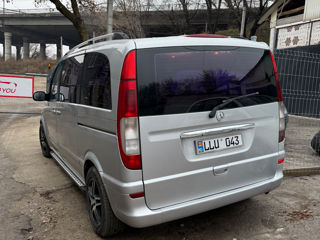 Mercedes Viano foto 3