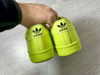 Adidas Continental яркие кожаные кроссовки на весну foto 4