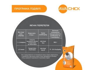 AVA Chick TQ S - стартовый комбикорм для яичных перепелов foto 4