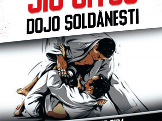 Jiu Jitsu. Antrenamente. Autoaparare si lupte, or. Soldanesti foto 4