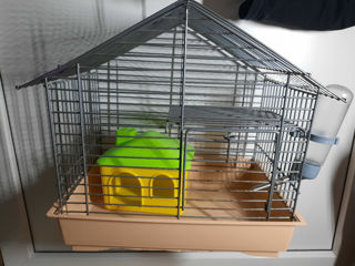 Hamster și cușcă foto 4