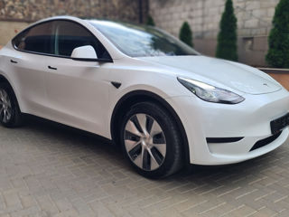 Tesla Model Y фото 1