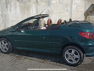 Peugeot 206 foto 2