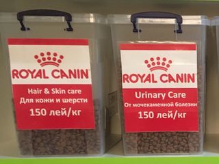 Сухие корма Royal Canin, BewiCat на развес с доставкой на дом и другое foto 5