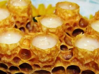 Пчелосемьи с ульями недорого foto 4