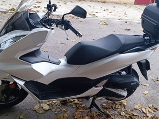 Honda PCX foto 4