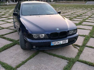 BMW 5 Series foto 4