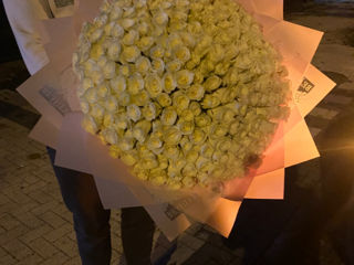 Promotia zilei!! 101 trandafiri olandezi la doar 1200 lei!! foto 5