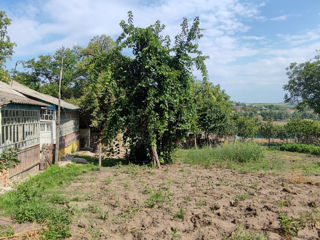 Hrușova Ciopleni/ vând teren 22ari cu casă din cotileț// + 15 ari agricoli intră în preț! foto 2
