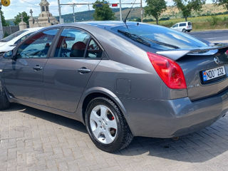 Nissan Primera foto 6