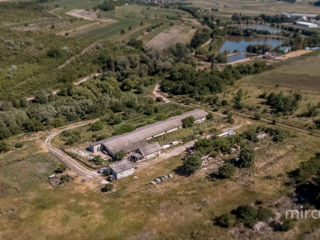 Se vinde teren 6 ha, s.Ratuş, Criuleni. фото 8