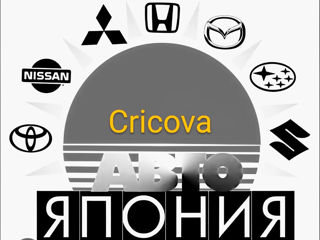 Японские запчасти корейские запчасти новые и б/у Разборка Крикова фото 0