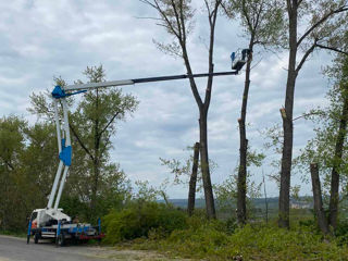 Tăierea copacilor avariați, defrisare arbori foto 11