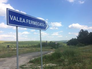 Teren 12 ari la Valea Fermecată (Criuleni) foto 2