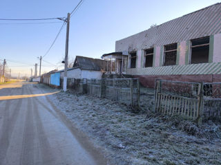 Se vinde incapere comerciala in s.Onesti, r-ul. Straseni. foto 3