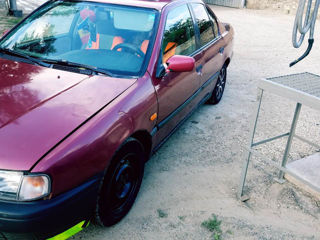 Nissan Primera foto 10