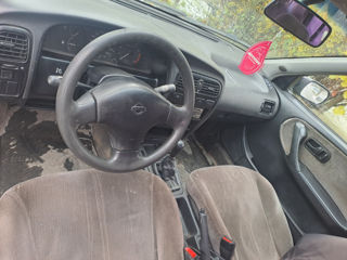 Nissan Primera foto 5