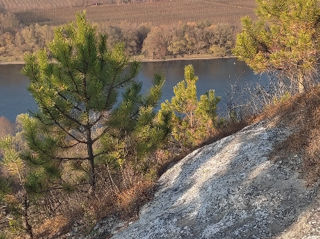 Căsuța în Mereșeuca 8 km de la Naslavcea foto 7