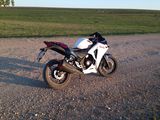 Suzuki Bandit.   maxon r12 foto 7