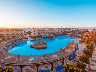 Egypt 2025! Hurghada! "Sentido Mamlouk Palace Resort" 5*! foto 3