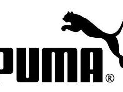 Костюм Puma foto 2