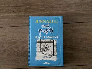 Jurnalul unui Puști foto 1