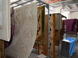 Профессиональная химчистка ковров и мягкой мебели в Кишиневе с вывозом и доставкой foto 1