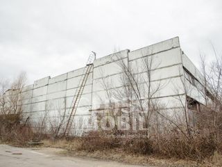 Spațiu comercial, șos. Muncești, Botanica foto 4