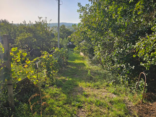 Casa in satul Napadeni foto 2